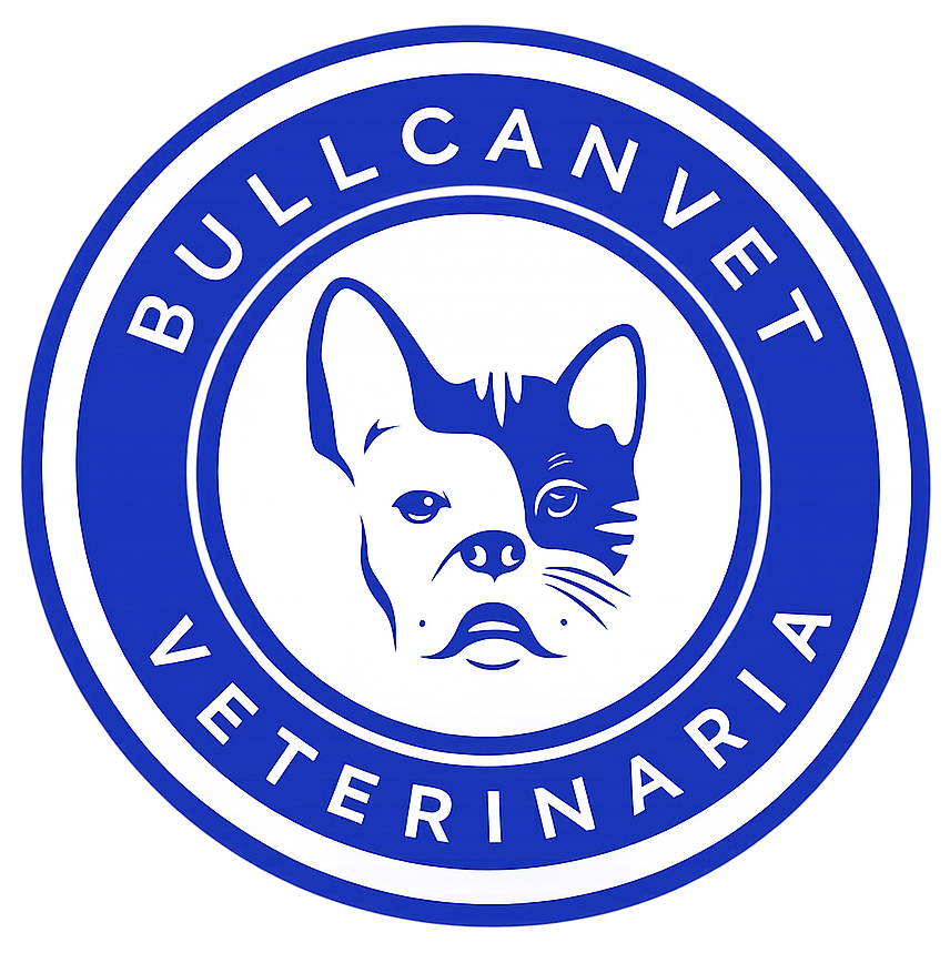 BULLCANVET Logo